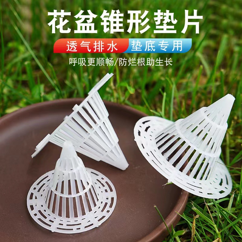 讀海子 讀書不僅是精進，也是自我透氣